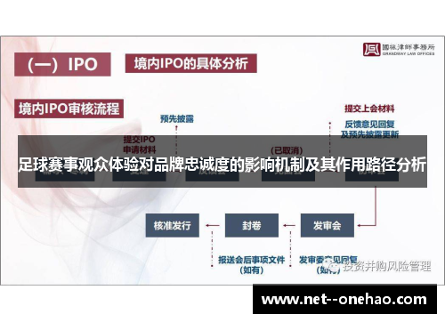 足球赛事观众体验对品牌忠诚度的影响机制及其作用路径分析