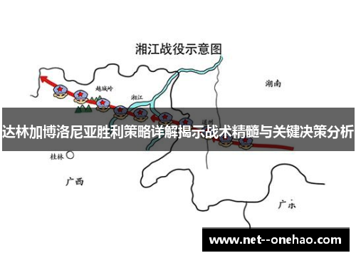 达林加博洛尼亚胜利策略详解揭示战术精髓与关键决策分析