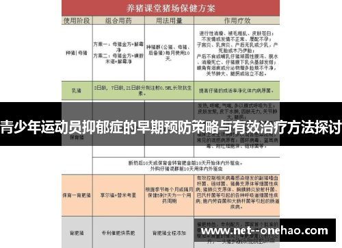 青少年运动员抑郁症的早期预防策略与有效治疗方法探讨